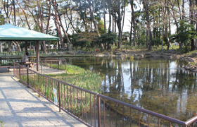 塚山公園